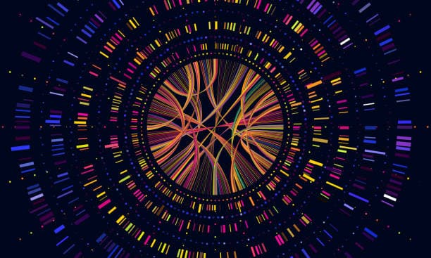 Whole Genome Sequencing