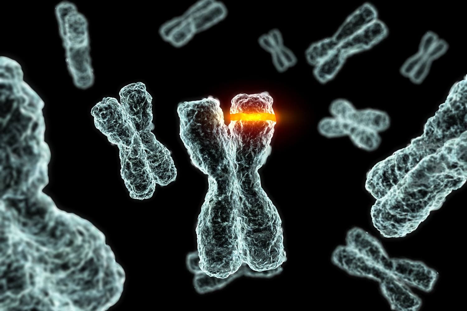 Clinical Exome Sequencing