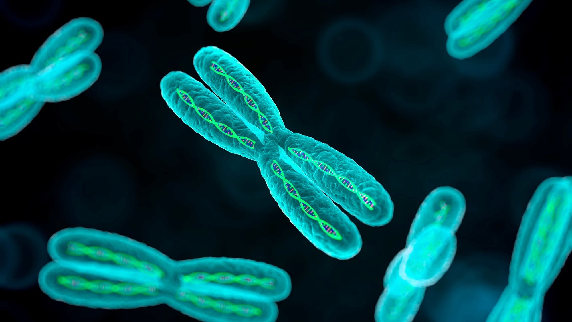Whole Exome Sequencing